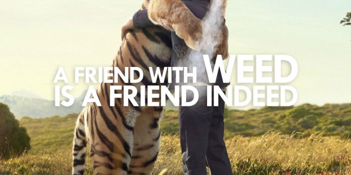 1156x1156 Mobile Wallpaper for Stoners | Stoner Pictures | Stoner Blog