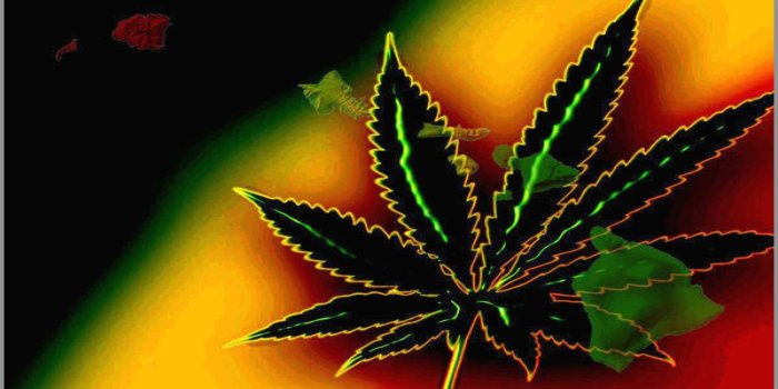 1920x1080 Top Five Cute Weed Wallpaper - Circus