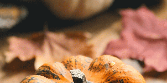 1242x2688 Pumpkin wallpapers for iPhone: download them now!