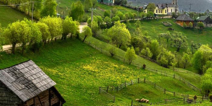 1200x1600 Download Beautiful Green Village Landscape Free Pure 4K Ultra HD