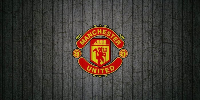 1131x707 Wallpapers manchester united Gallery