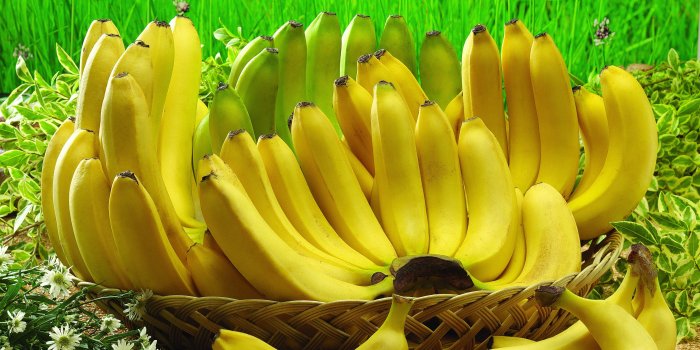 4896x3672 34 Banana HD Wallpapers | Background Images