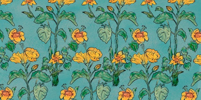 2048x1152 Yellow Hibiscus Wallpaper | Moncharis - Our stuff | Laptop wallpaper