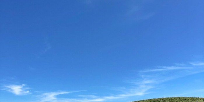 768x1024 Location of the Microsoft Windows XP Default Wallpaper :: the places