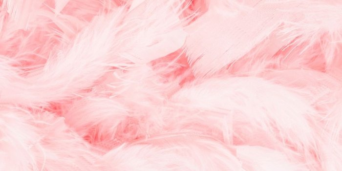 1000x997 LIFE MAGIC BOX Vinyl Baby Pink Photo Booth Photographic Backgrounds  Wallpapers Studio Backdrops