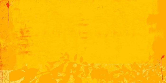 2560x1440 Unique Yellow Abstract Wallpapers Collection 12 – 4kwallpaper.org