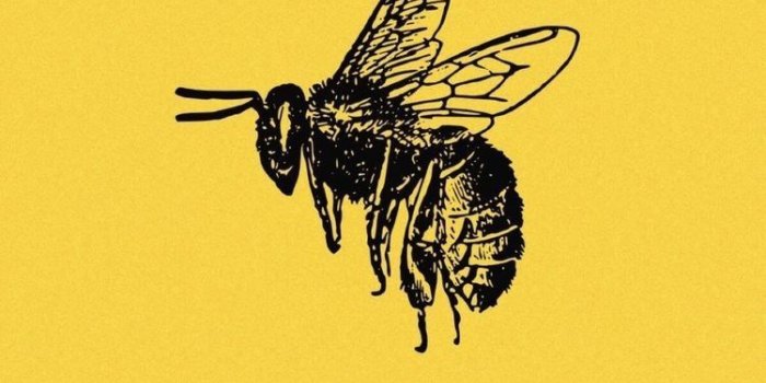 750x1076 Iphone Wallpaper Yellow, Gucci Wallpaper Iphone, Iphone - Gucci Bee