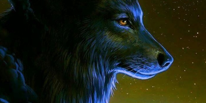 720x1280 WolfWarrior33 on Epic wolves | Wolf wallpaper, Wolf painting