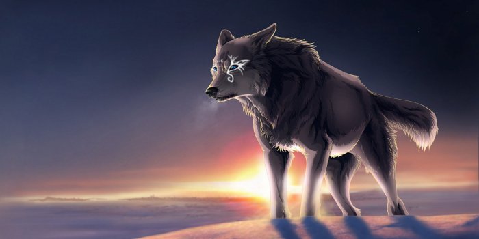 2560x1600 Epic Wolf Wallpaper (102+ images in Collection) Page 2