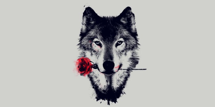 1920x1080 Wolf Art Wallpaper (79+ images)