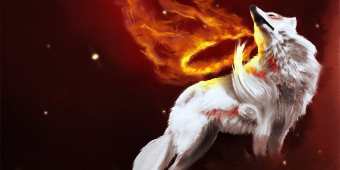 1920x1200 48+] Fire Wolf Wallpaper on WallpaperSafari
