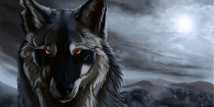 1366x768 Anime Wolf Wallpaper (35+ images) on Genchi.info