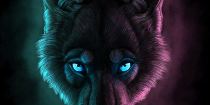 1440x1280 Love wolf Anime | Wolf anime in 2019 | Wolf face, Wolf wallpaper
