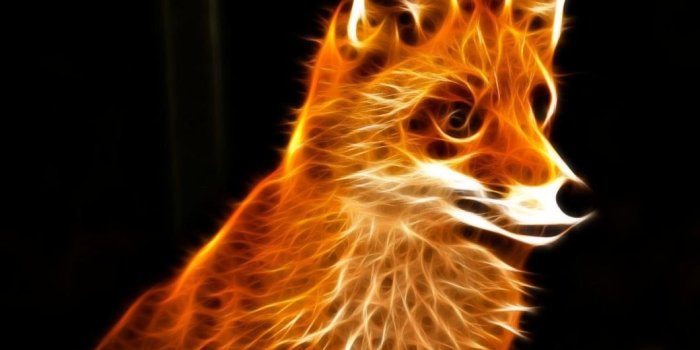 1060x848 epic animal wallpapers | Bestpicture1.org