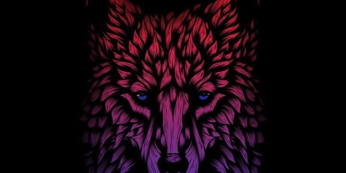 720x1280 35+ Graphic Wolf Wallpapers - Download at WallpaperBro