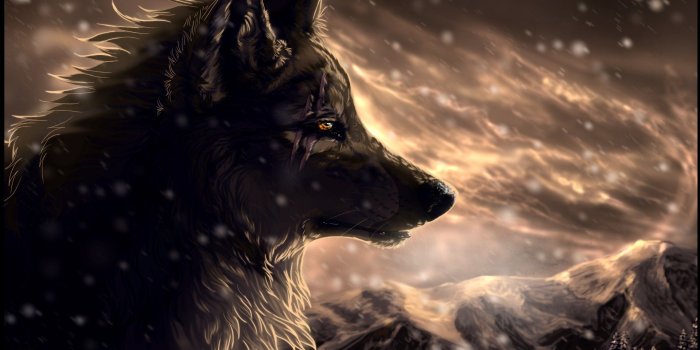 1920x1200 Anime Wolf Wallpapers - Top Free Anime Wolf Backgrounds