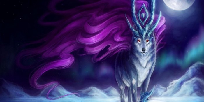 1920x1080 Anime wolf wallpapers Gallery