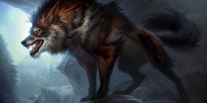 1139x702 Epic Wolf Wallpaper Beautiful