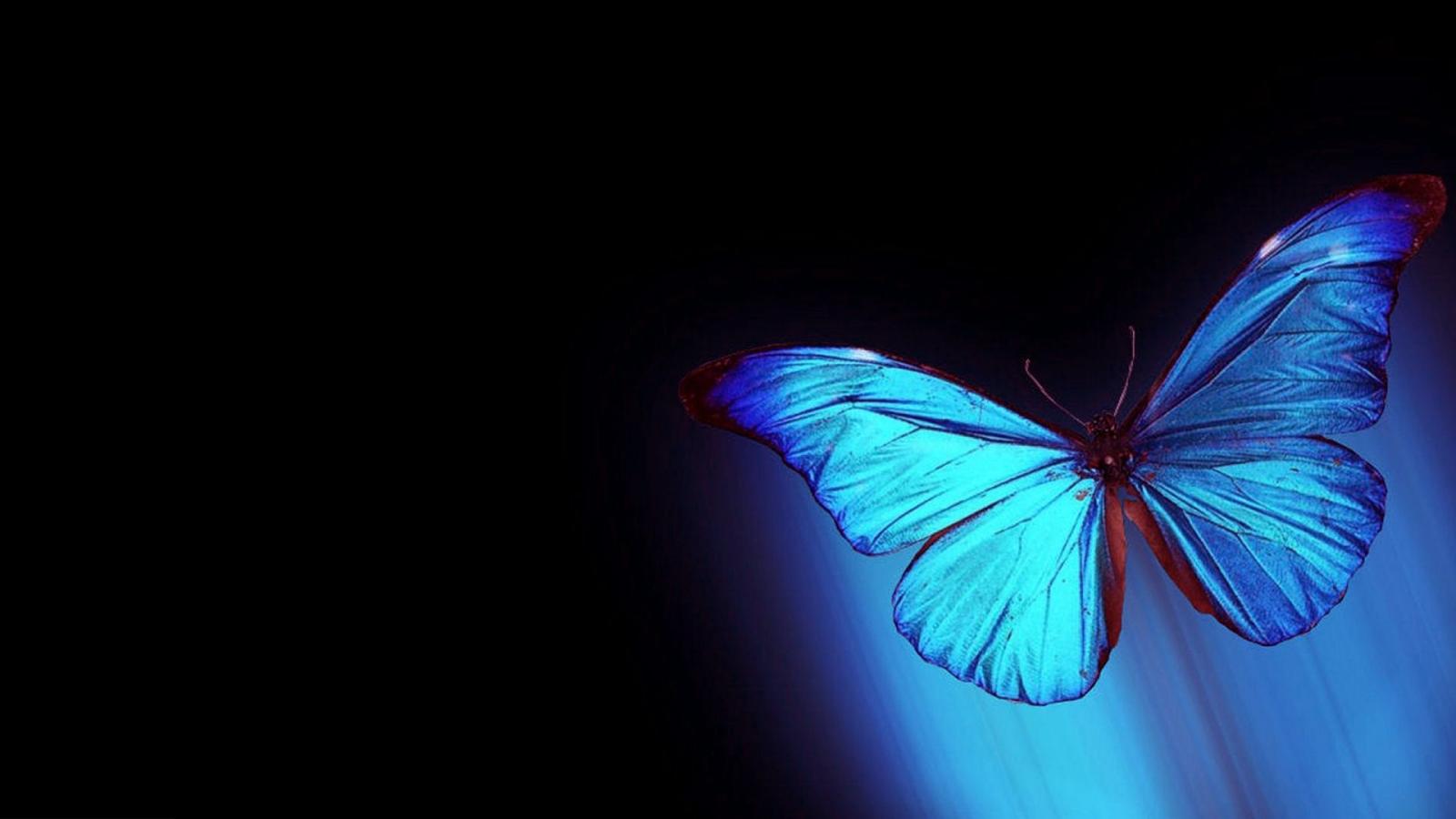 1920x1080 Abstract Butterfly Wallpapers For Laptop | Unique HD Wallpapers