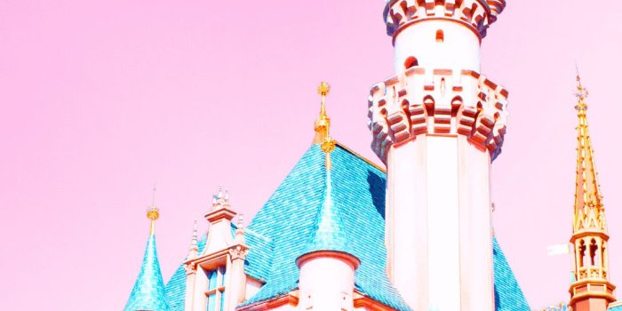 1080x1920 70+ Disneyland Wallpapers on WallpaperPlay