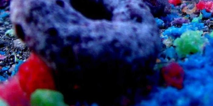 1440x2560 Cute colorful candy | wallpaper.sc SmartPhone