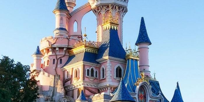 750x1334 Disneyland, castle 750x1334 iPhone 8/7/6/6S wallpaper, background
