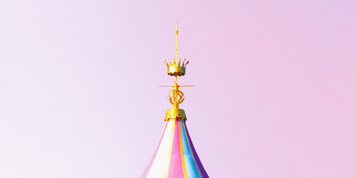 1080x1920 8 Disneyland Mobile Wallpapers! ~ Emmygination