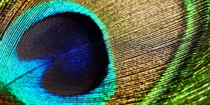 1697x1015 Desktop Images, Colors, Paints, High Definition Wallpapers, Cute