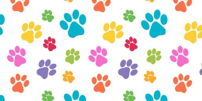 736x1377 Cute Wallpaper: pets Paws print pattern colorful cute design