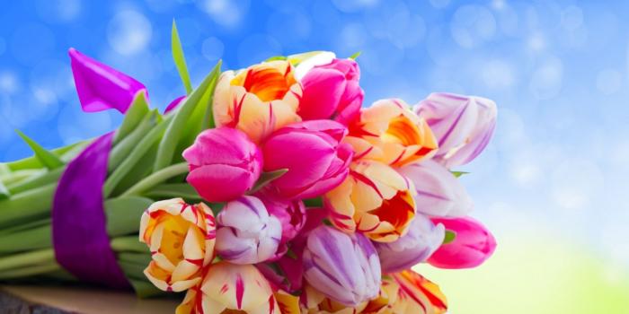 2560x1600 Cute colorful flowers wallpaper HD | Style24x7