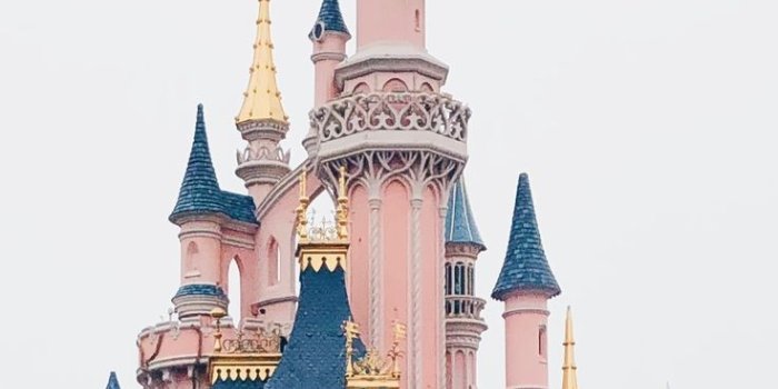 736x1404 disneyland paris winter 2018 | |Wallpapers| in 2019 | Wallpaper