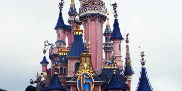 1728x2304 Disneyland Castle For Iphone - Disneyland Paris Free Wallpaper