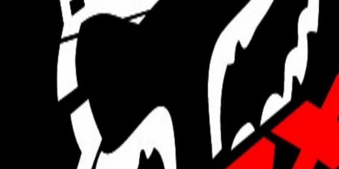 768x1280 Unique Fox Racing Wallpaper #6790465 combination | Pomelo Tapet