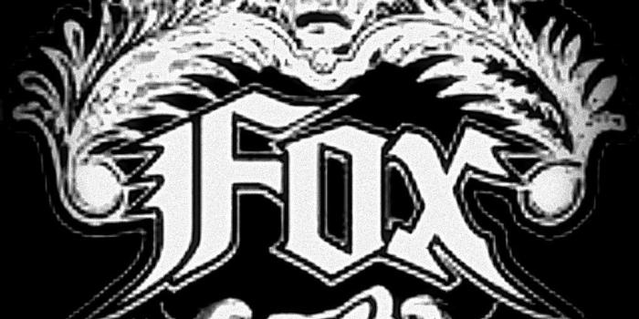 1021x863 100+ Fox Brand HD Wallpapers – My Sweet Home