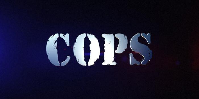 1920x1080 Cops | Watch Full Episodes Online on FOX