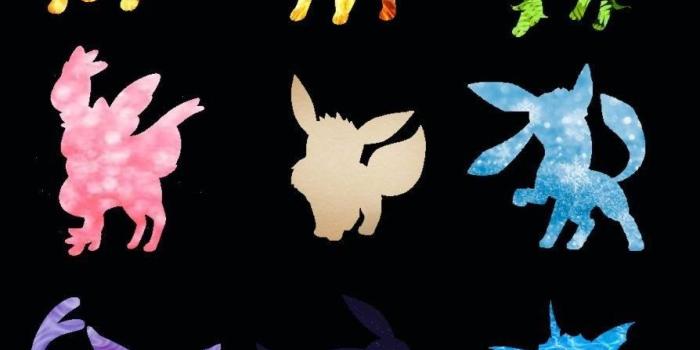 894x894 Eeveelutions Wallpaper HD Nice