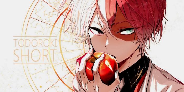 1332x850 My Hero Academia Todoroki Wallpapers - Top Free My Hero Academia