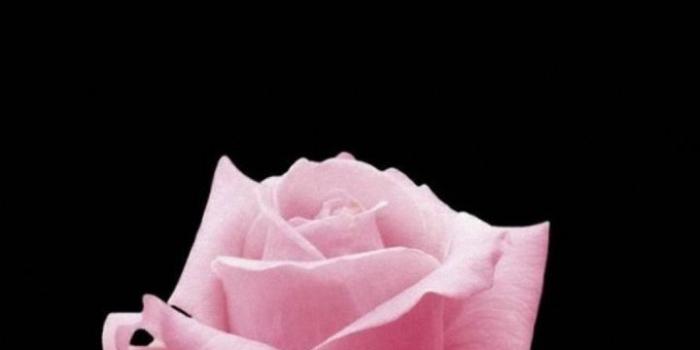 720x1280 LG Phone Wallpapers (22 Wallpapers) – Adorable Wallpapers