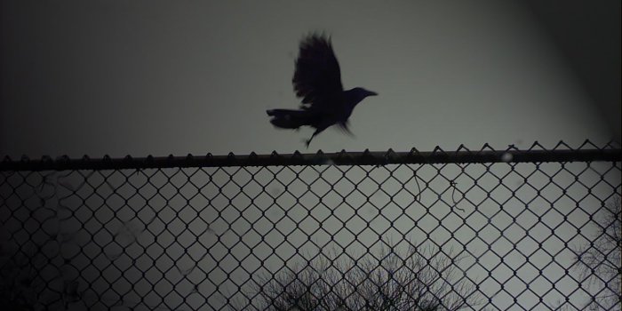 1280x1024 Other Wallpaper and Background Image | 1280x1024 | ID:35648