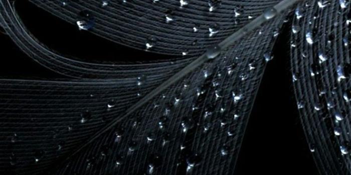 736x1308 Beach Seychelles lg phone Wallpapers HD 736x1308