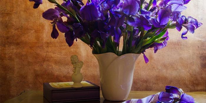 1157x1024 Desktop Wallpapers Violet flower Irises Vase Ribbon