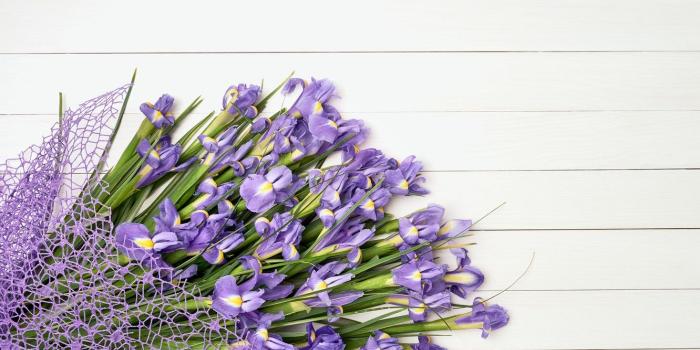 1332x850 Wallpaper flowers, bouquet, irises, flowers, purple, iris images for