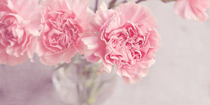 3000x2000 Cute Desktop Wallpaper Group (63+), Download for free