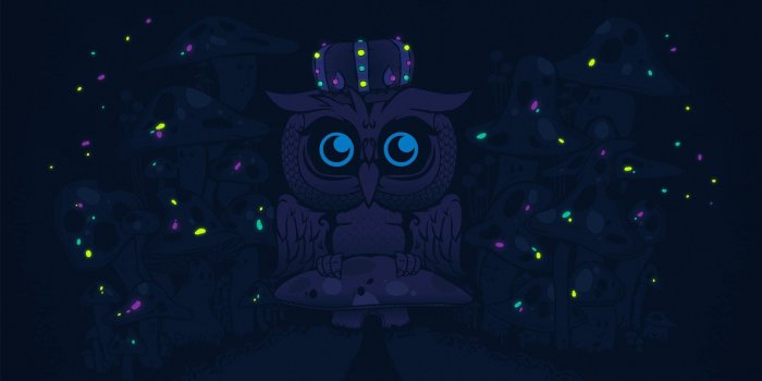 2560x1440 Owl King HD wallpaper