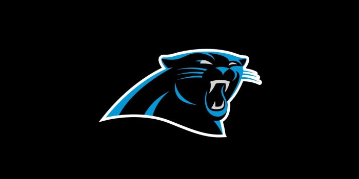 1920x1200 NFL Carolina Panthers Wallpapers