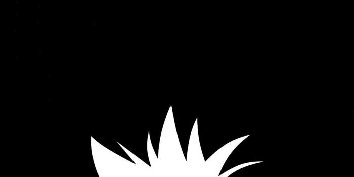 1250x2159 Beautiful Cowboy Bebop Wallpaper Smartphone – Anime Wallpaper