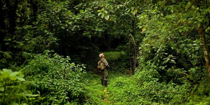 1920x1080 Park Ranger Ismael – Bing Wallpaper Download