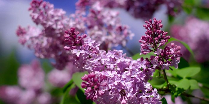 1280x800 Free download wallpaperswindows xp desktop wallpaperswindows7