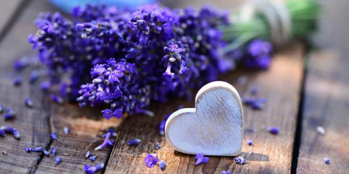 2560x1440 Lavender Desktop Wallpaper