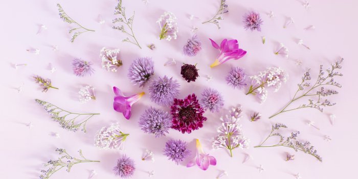 5656x3768 DIGITAL BLOOMS JULY 2019 | FREE DESKTOP WALLPAPER + MY 400TH BLOG